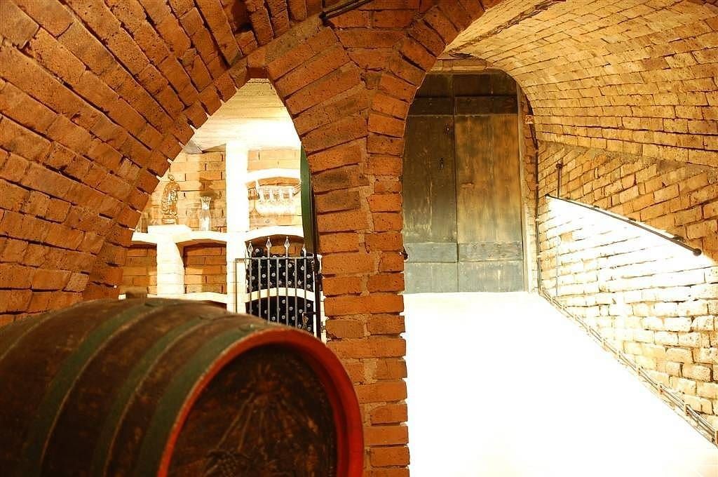Chata · Velké Bílovice, Jihomoravský kraj - 3