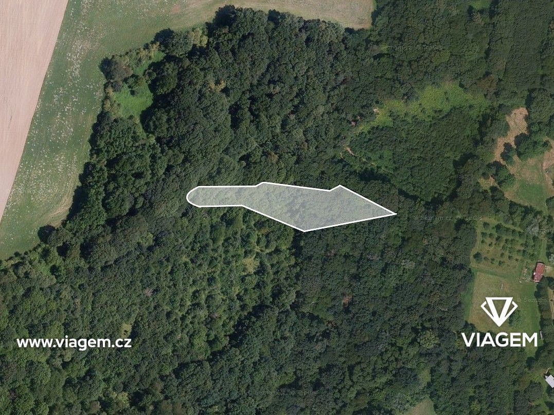 Les · Lhota, okres Zlín, Zlínský kraj - 3