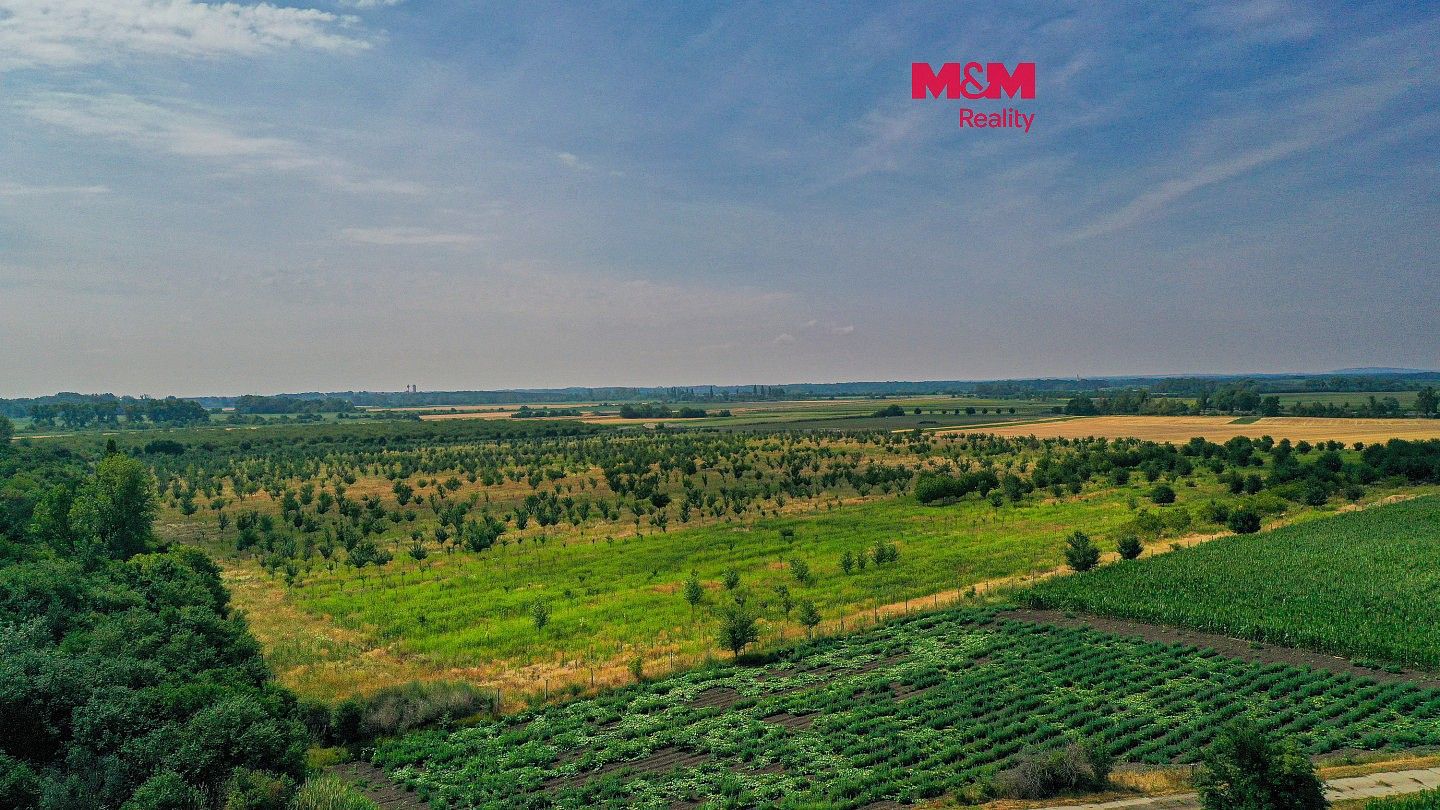Zemědělské pozemky, Rakvice, okres Břeclav, Jihomoravský kraj - 1