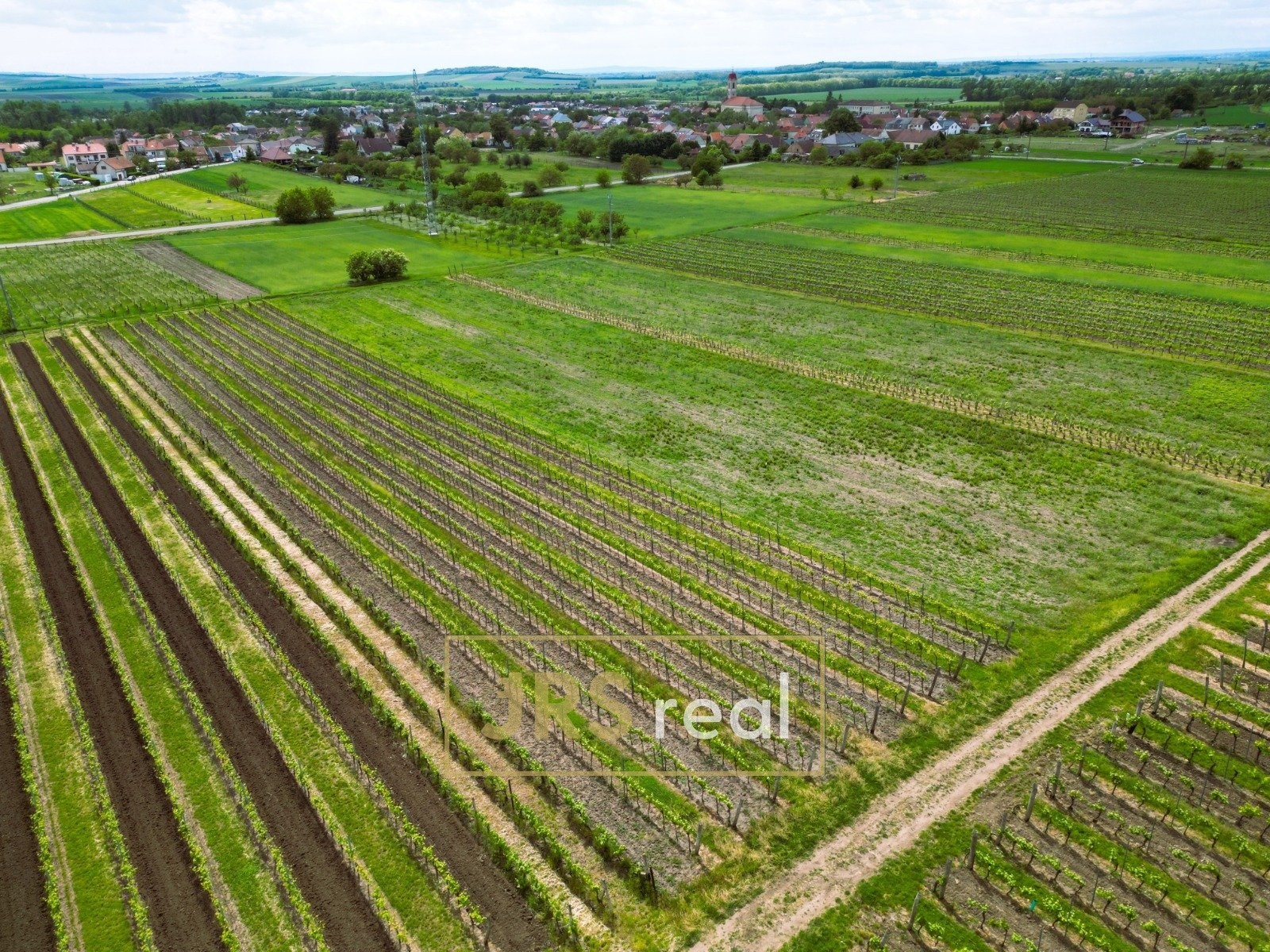 Prodej zemědělský pozemek - Březí - 5