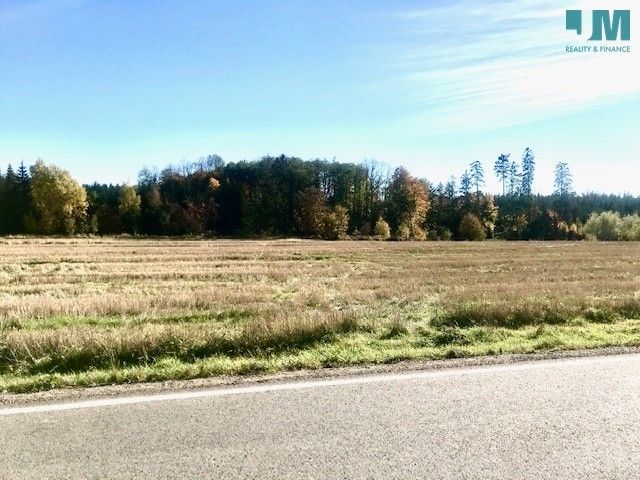 Prodej komerční pozemek - Šašovice, Želetava