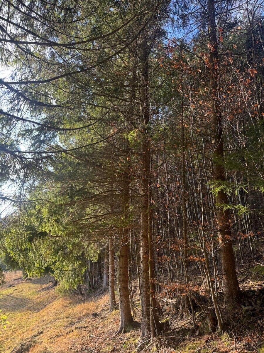 Pozemky pro bydlení, Huslenky, 756 02