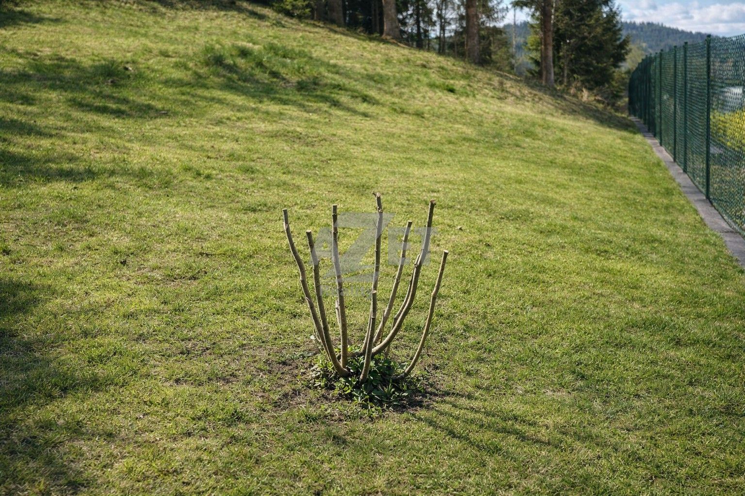 Zahrada · 800 m² · Horní Bečva - 3
