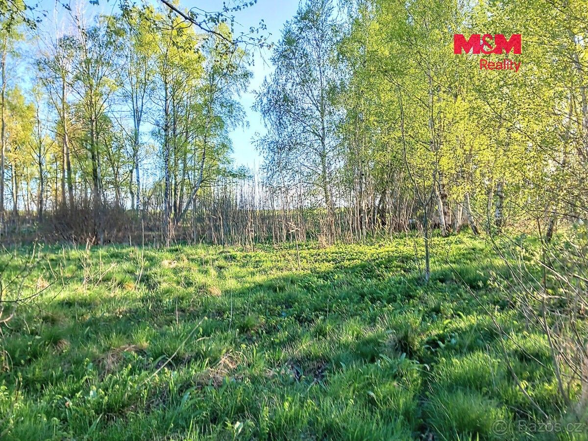 Pozemek pro bydlení · Mariánské Lázně, 353 01 - 3