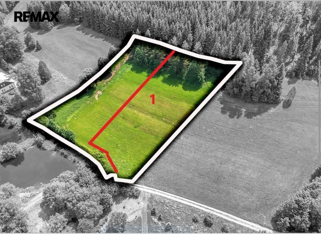 Pozemky pro bydlení, Červená Voda, 3 948 m²