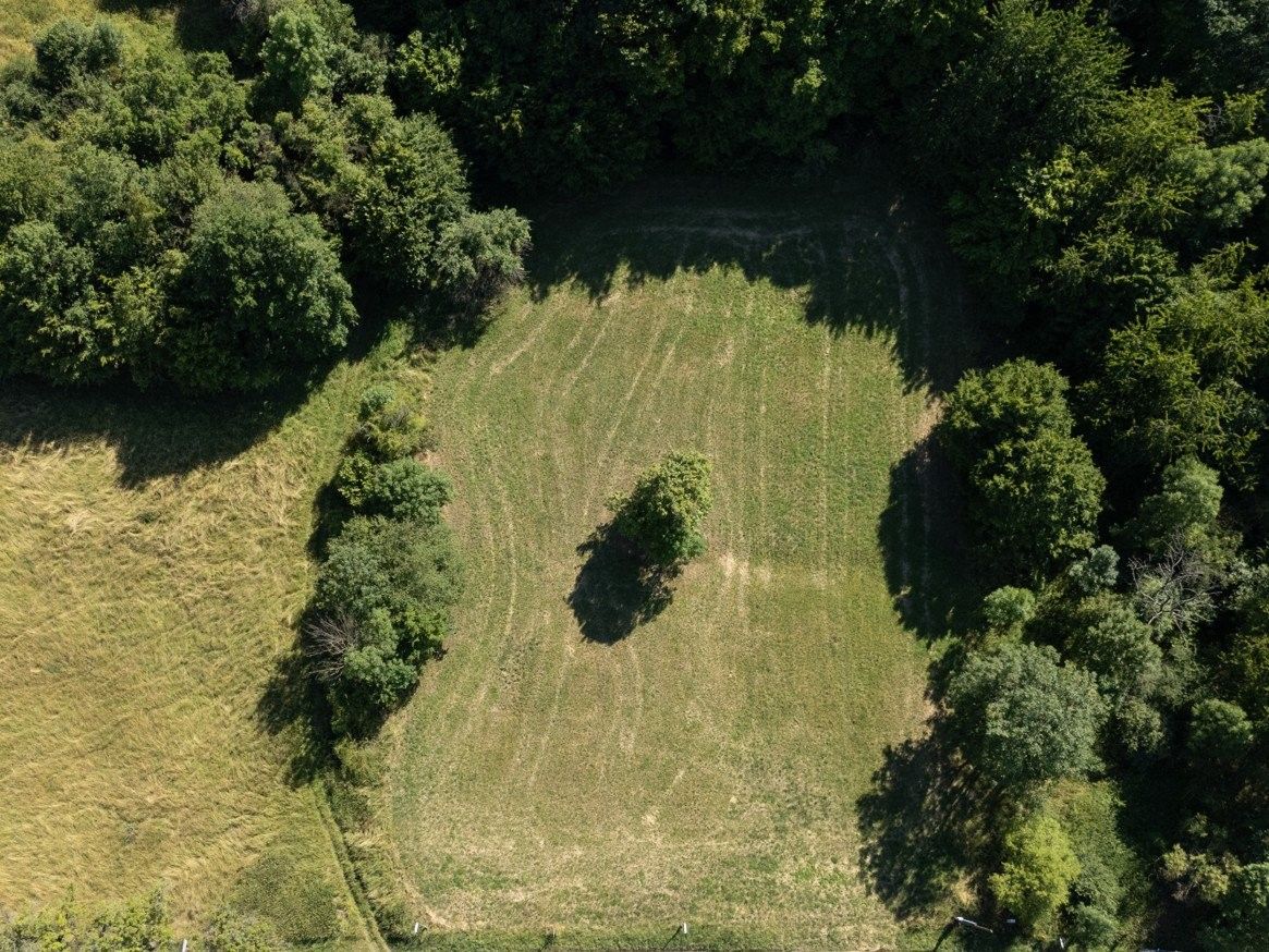 Prodej pozemek pro bydlení - Habrovany