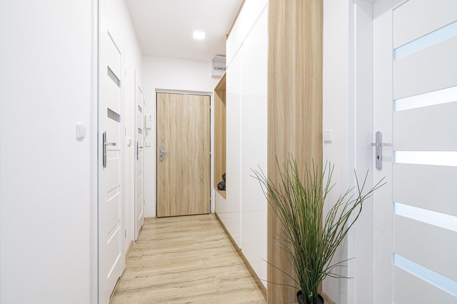 Byt 3+1 · 74 m² · Výškovická, Ostrava - Zábřeh - 3
