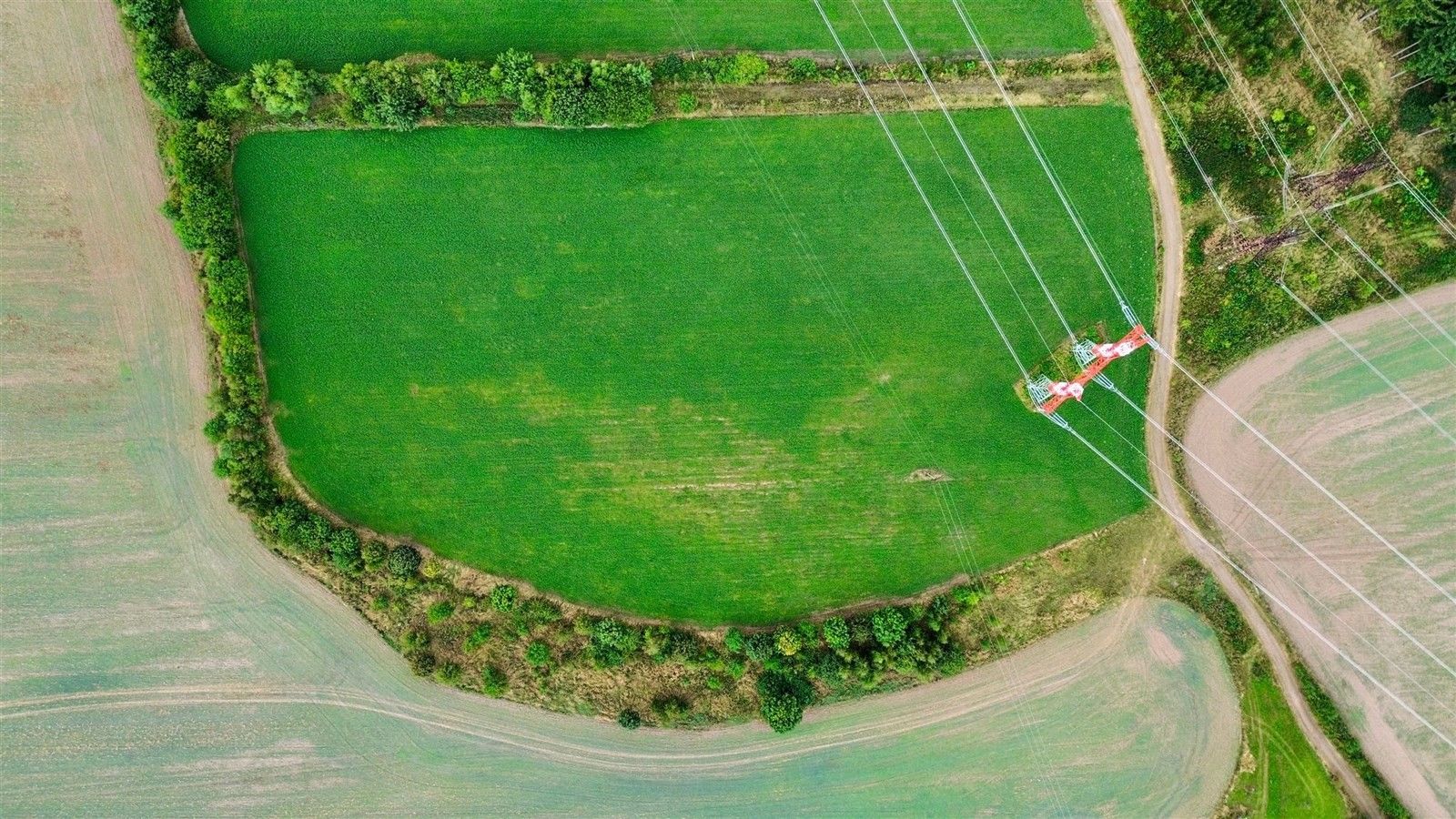 Zemědělské pozemky, Příčina