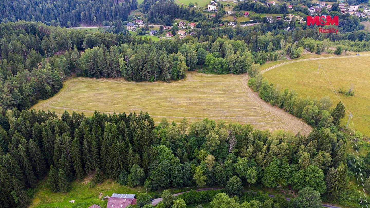 Louka · Loužnice, okres Jablonec nad Nisou, Liberecký kraj - 4