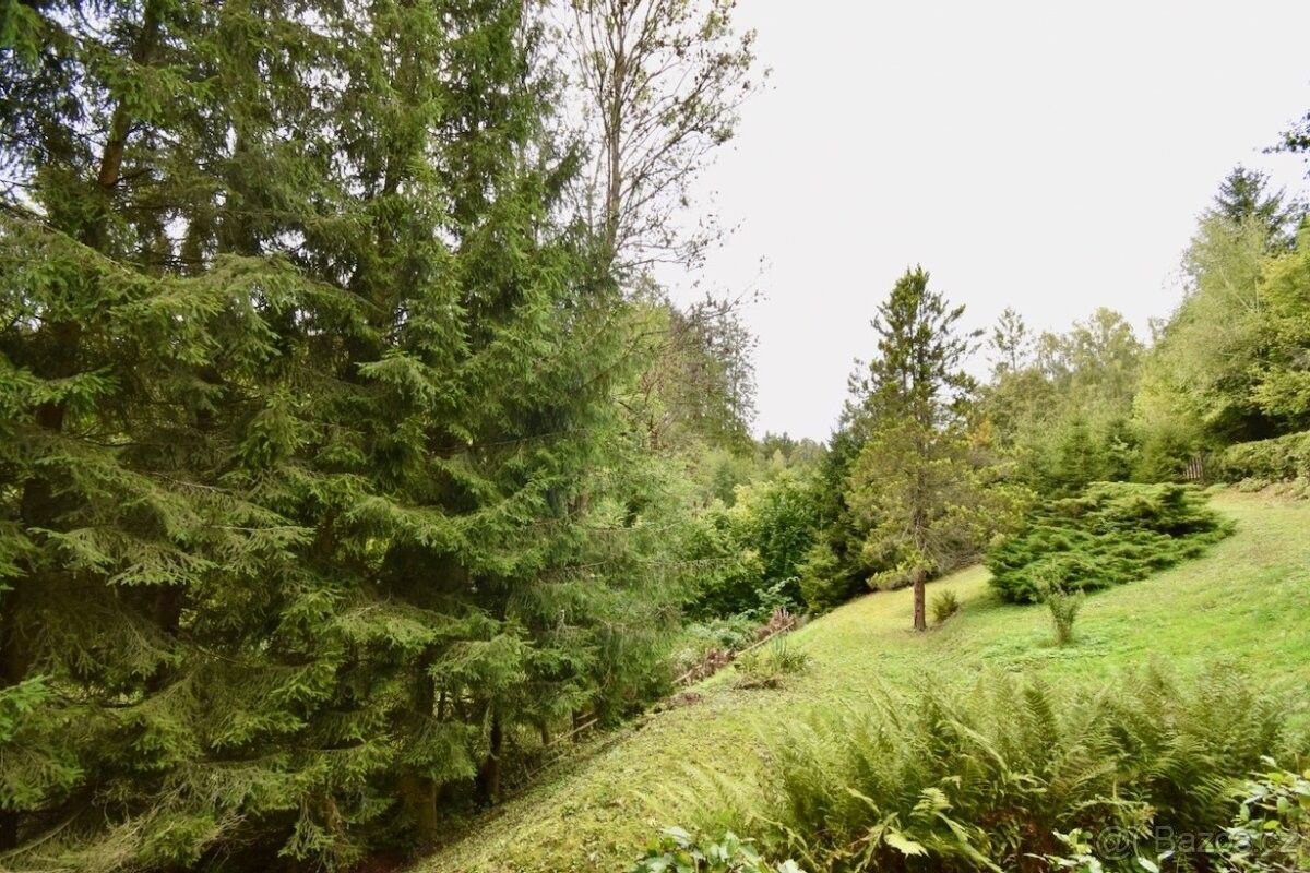 Prodej chata - Ledeč nad Sázavou, 584 01