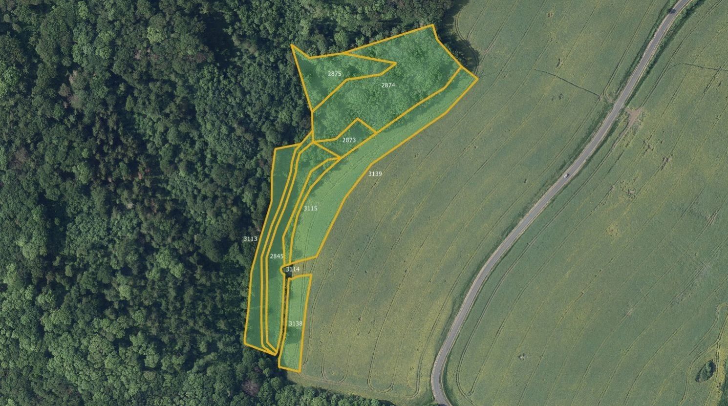 Louky, Kostomlaty pod Milešovkou