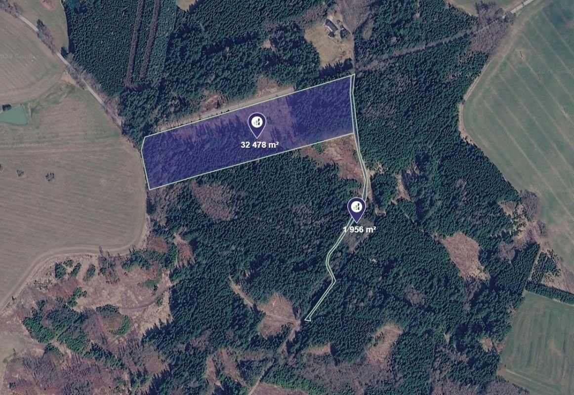 Lesy, Milevsko, 12 302 m² - 2