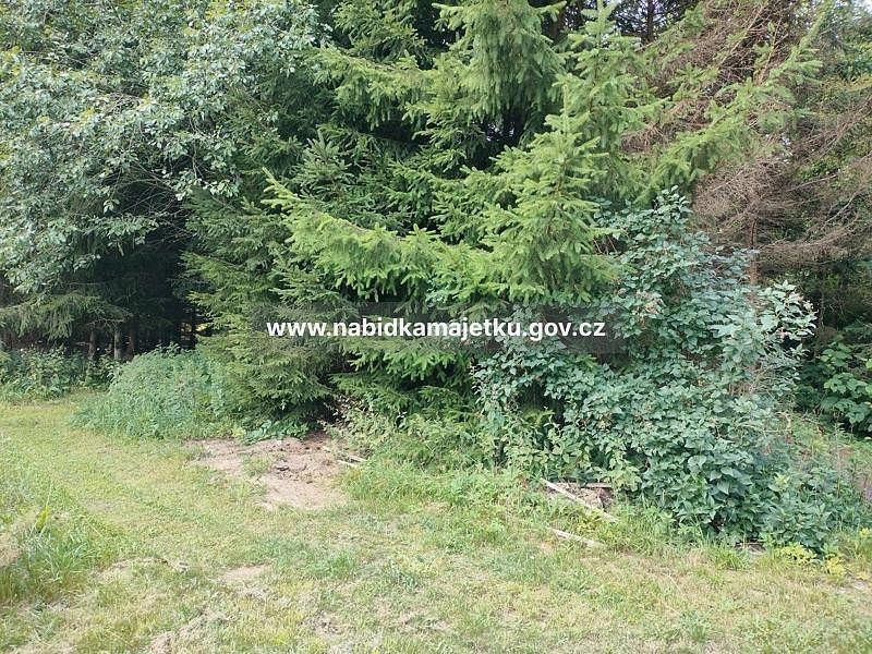 Pozemek · Harrachov, okres Jablonec nad Nisou - 2