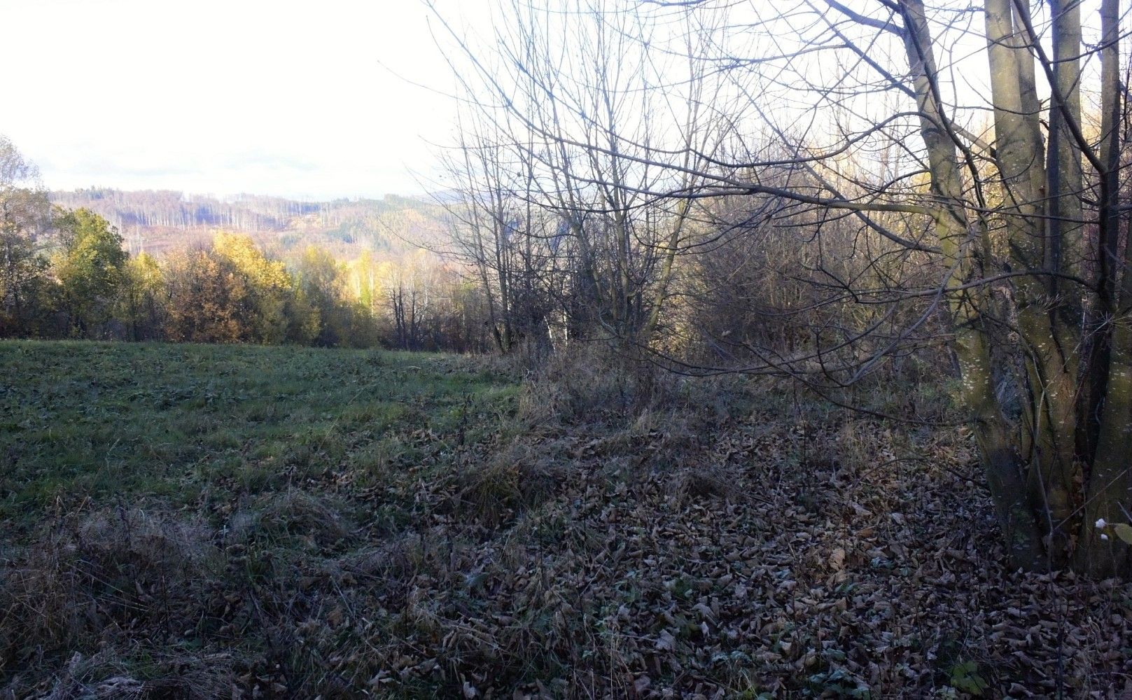 Louky, Vyškovec, okres Uherské Hradiště, Zlínský kraj - 2