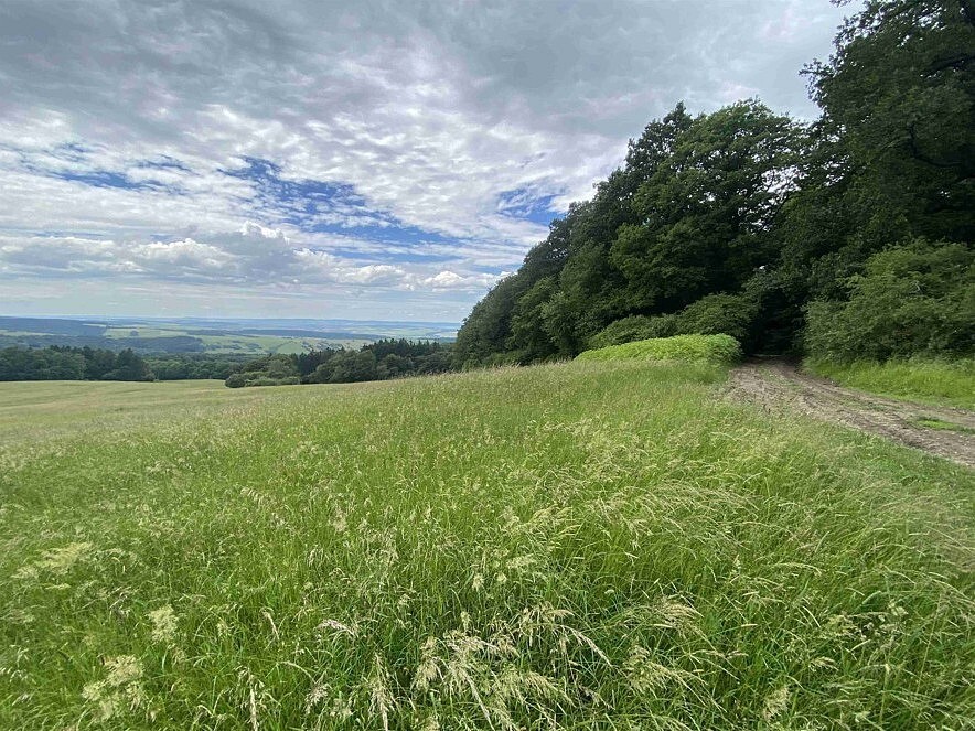 Prodej louka - Strání - 2