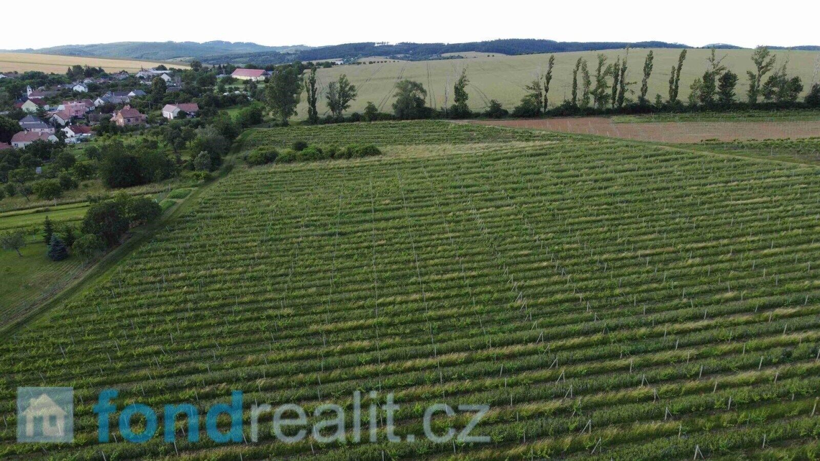 Pozemek · 4 878 m² · Újezdec - 3