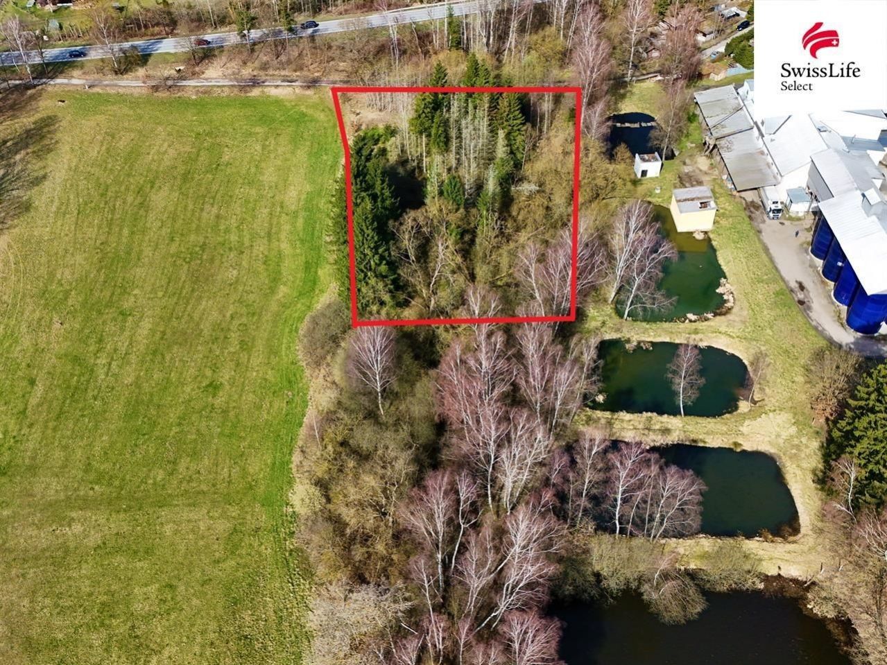 Lesy, Rodvínov, 4 m²