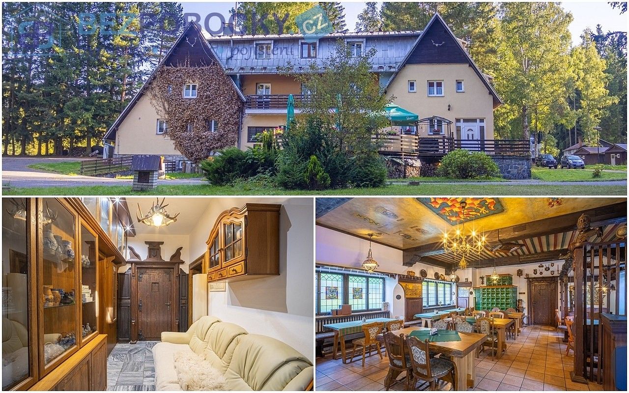 Ubytovací zařízení, Sněžné - Milovy, okres Žďár nad Sázavou, 644 m² - 1