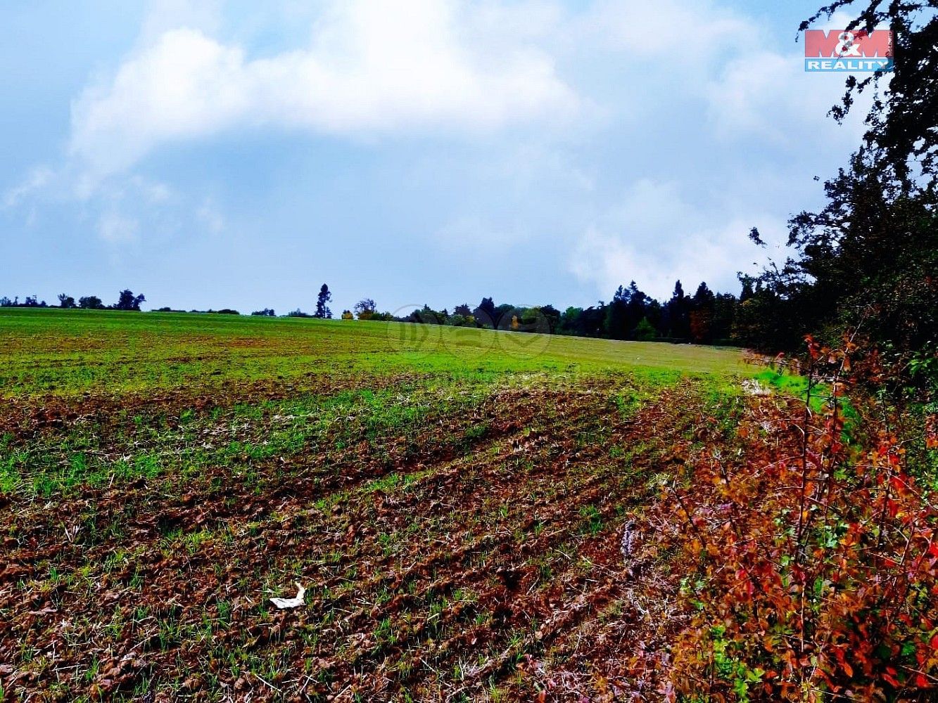 Prodej pozemek - Županovice, okres Příbram, Středočeský kraj - 5