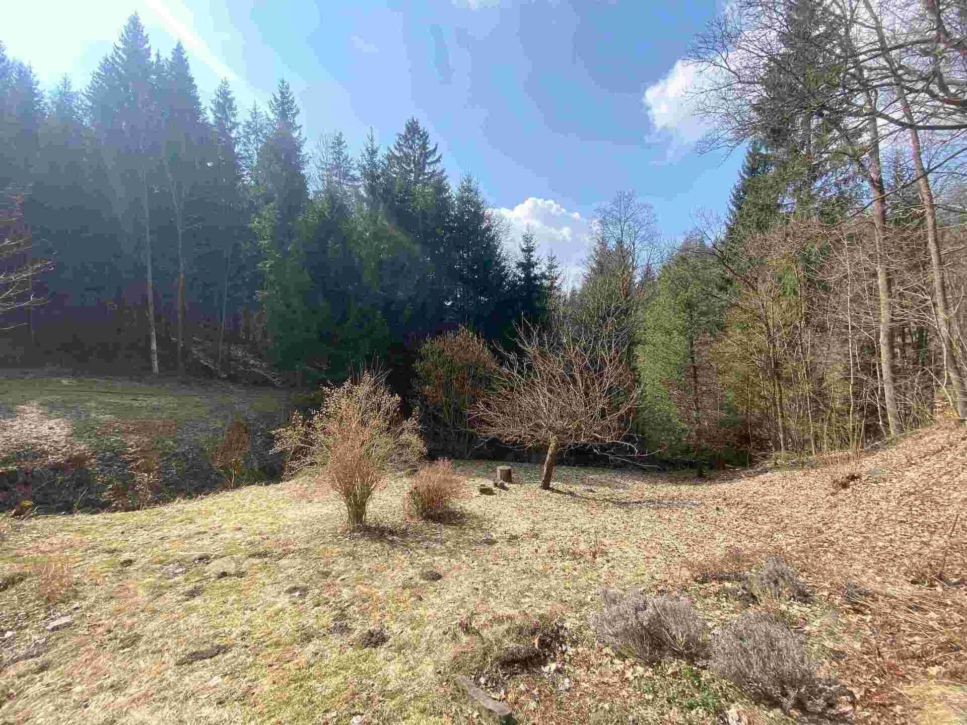 Prodej pozemek - Rokytnice v Orlických horách, 858 m²