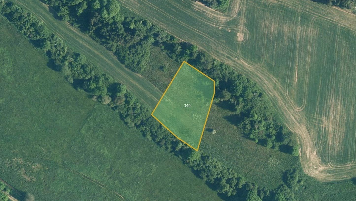 Prodej louka - Mohelnice