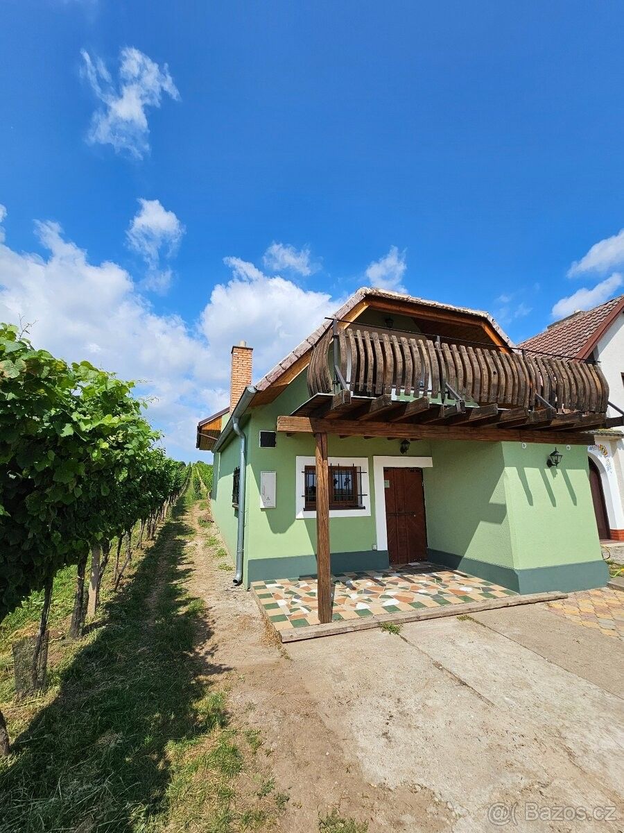 Ostatní, Prušánky, 696 21