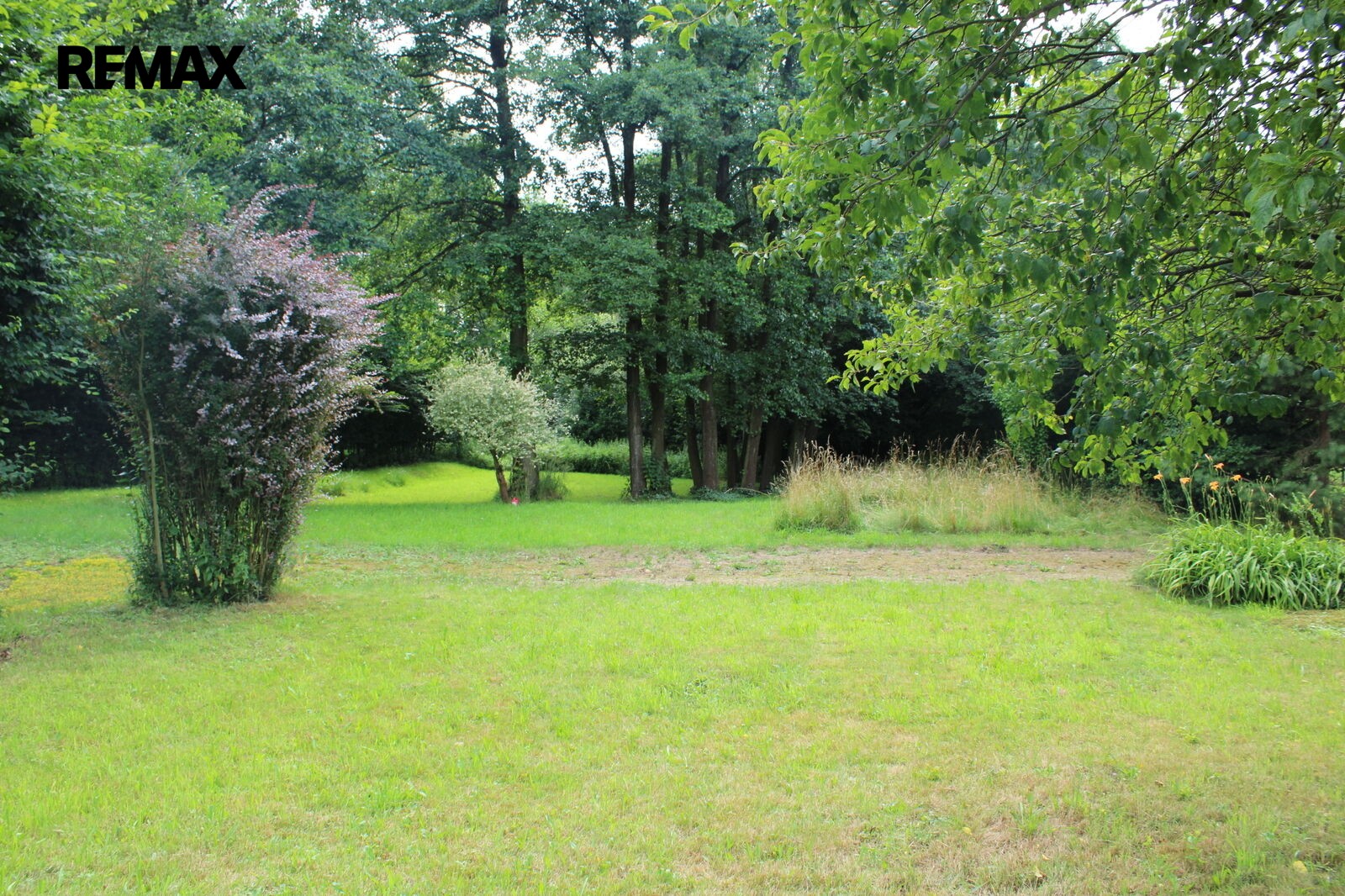 Prodej zahrada - Třeneckého, Ostrava Radvanice, 1 034 m² - 5