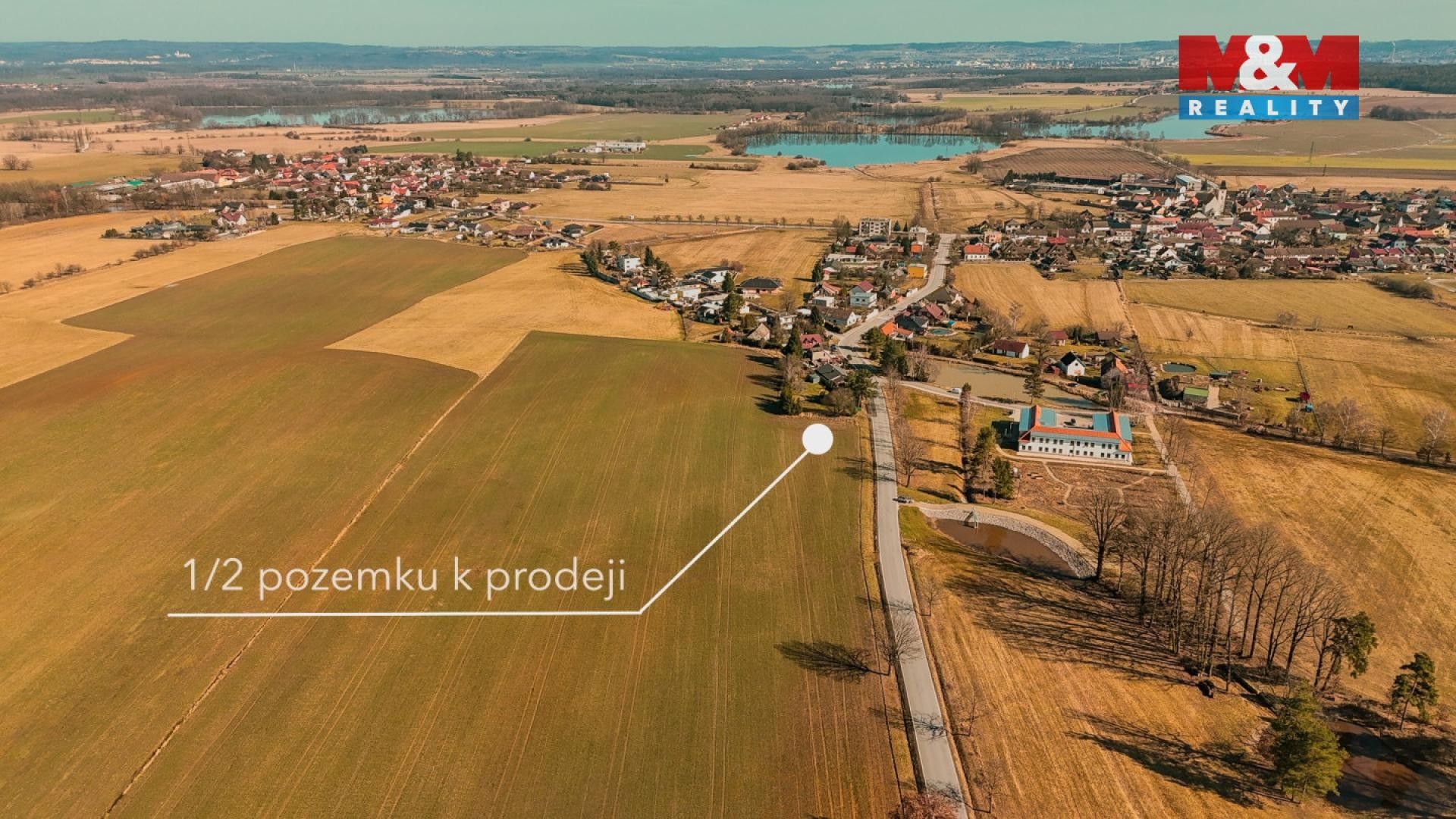 Prodej zemědělský pozemek - Křenovice, Dubné