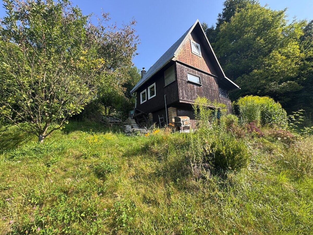 Chaty, Bělá pod Pradědem, 790 01