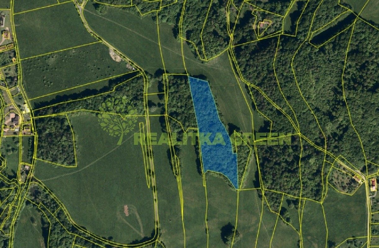Lesy, Dolní Paseky, Rožnov pod Radhoštěm, 13 014 m² - 1