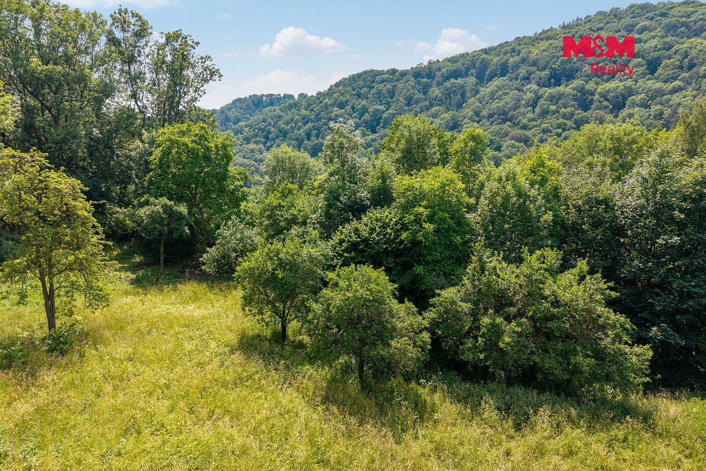 Prodej zahrada - Ryjice, okres Ústí nad Labem, Ústecký kraj - 5