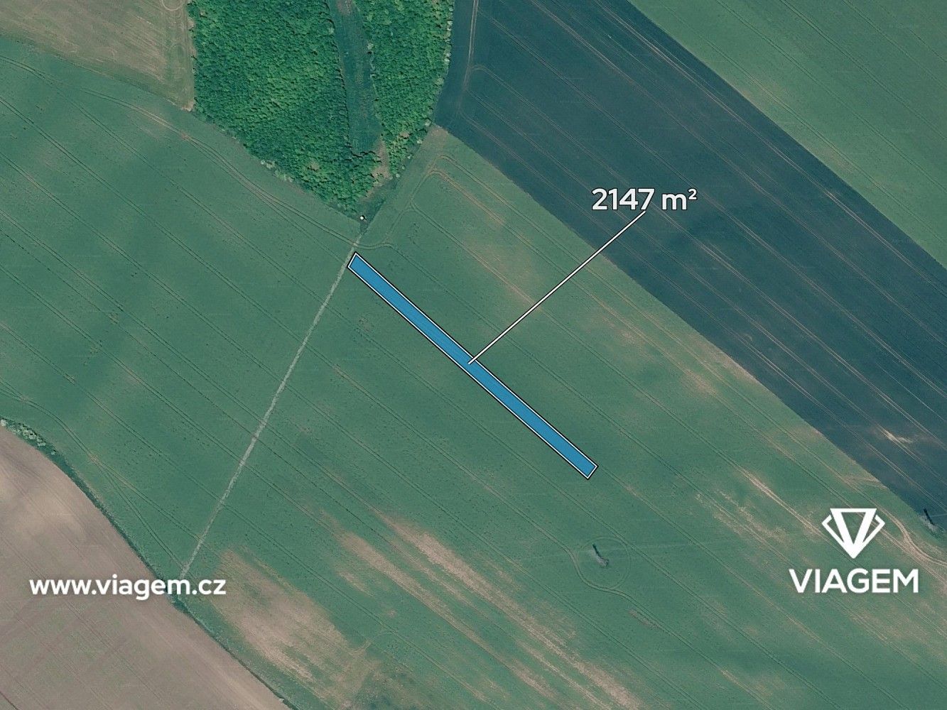 Prodej zemědělský pozemek - Násedlovice, okres Hodonín, Jihomoravský kraj - 2