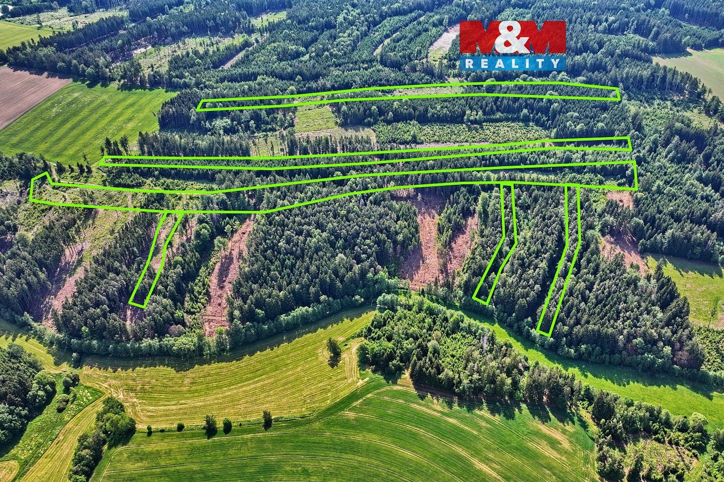 Lesy, Moraveč, okres Pelhřimov, Kraj Vysočina - 1