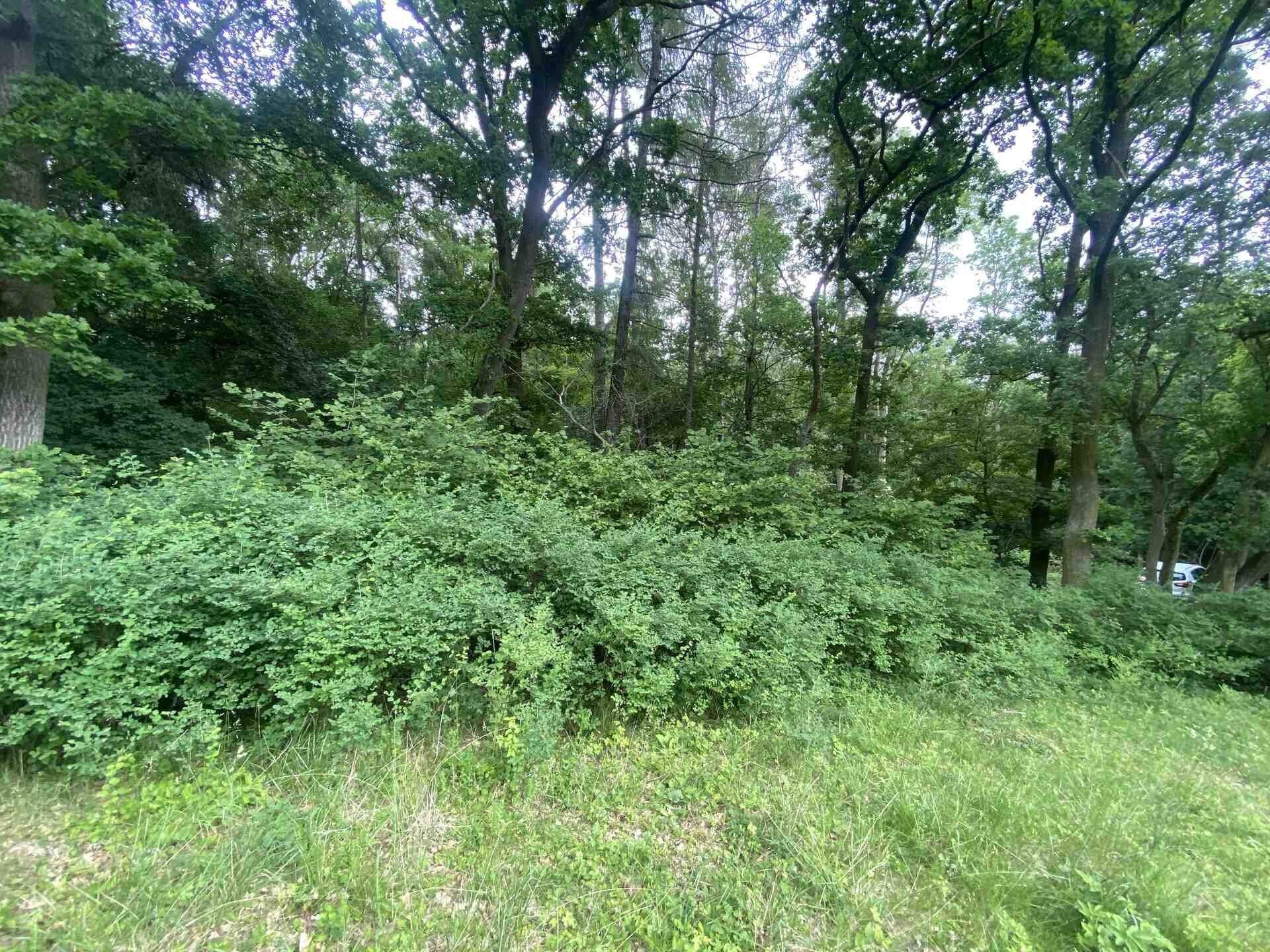 Ostatní, Třebívlice Skalice, 576 m² - 2