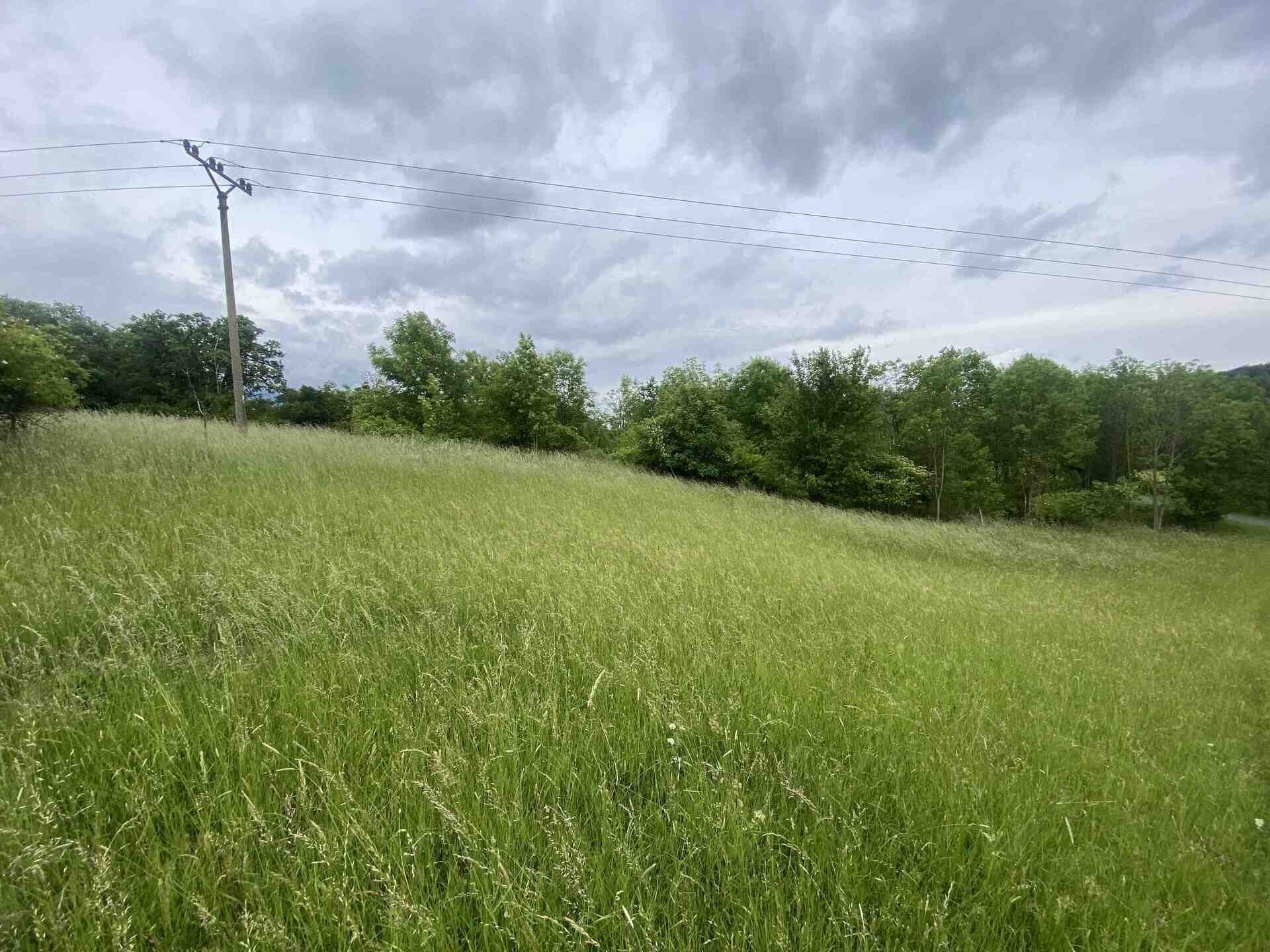 Zemědělský pozemek · 12 772 m² · Třebívlice Skalice - 4