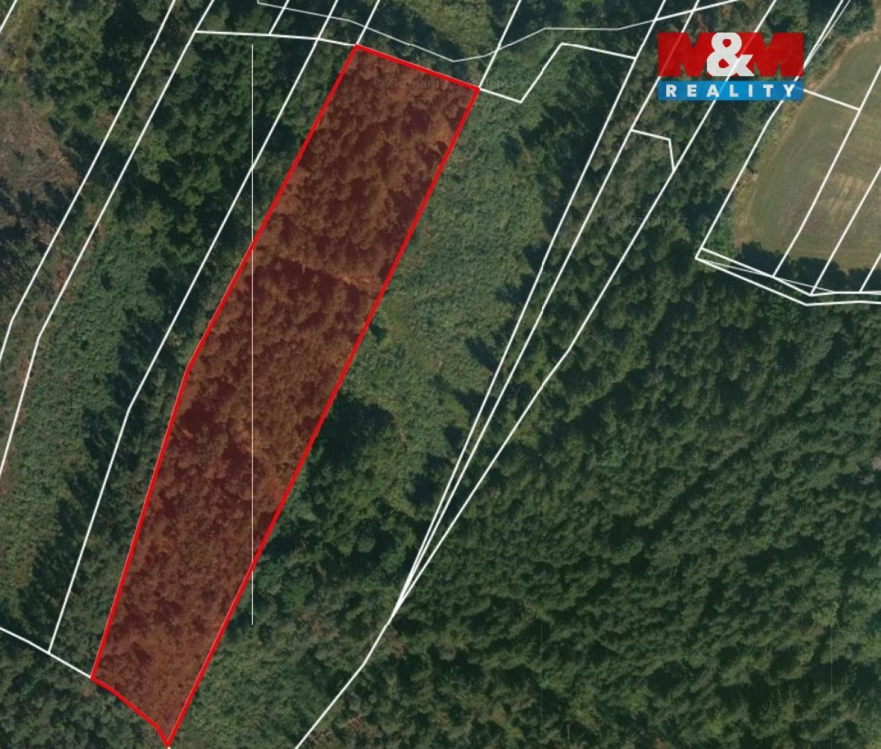 Prodej les - Slavošovice, Libín