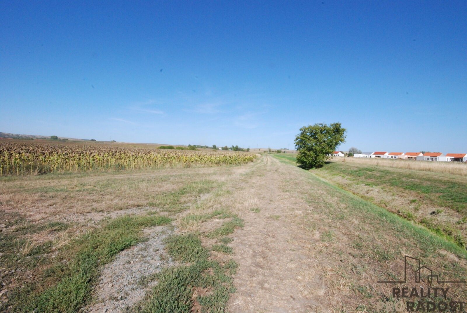 Prodej pozemek pro bydlení - Velké Němčice, 580 m² - 5