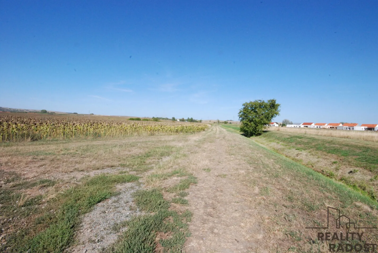 Ostatní