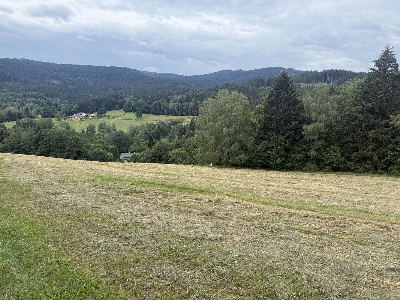 Louky, Hamry, okres Klatovy, Plzeňský kraj - 2