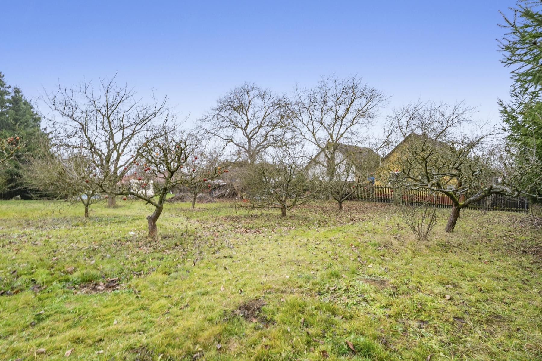 Prodej pozemek pro bydlení - Týček, 600 m²