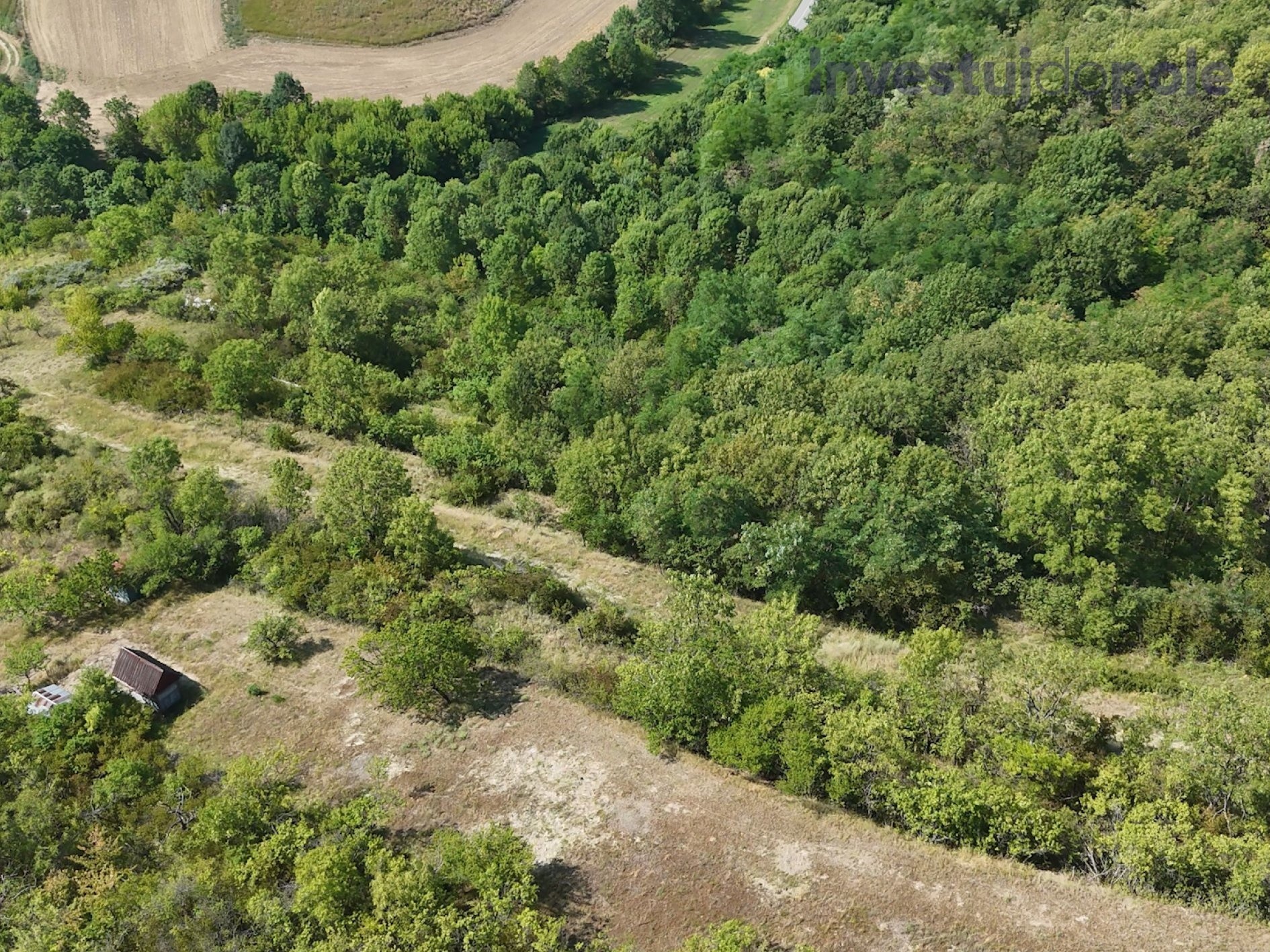 Prodej zahrada - Kobeřice u Brna, 2 052 m² - 5