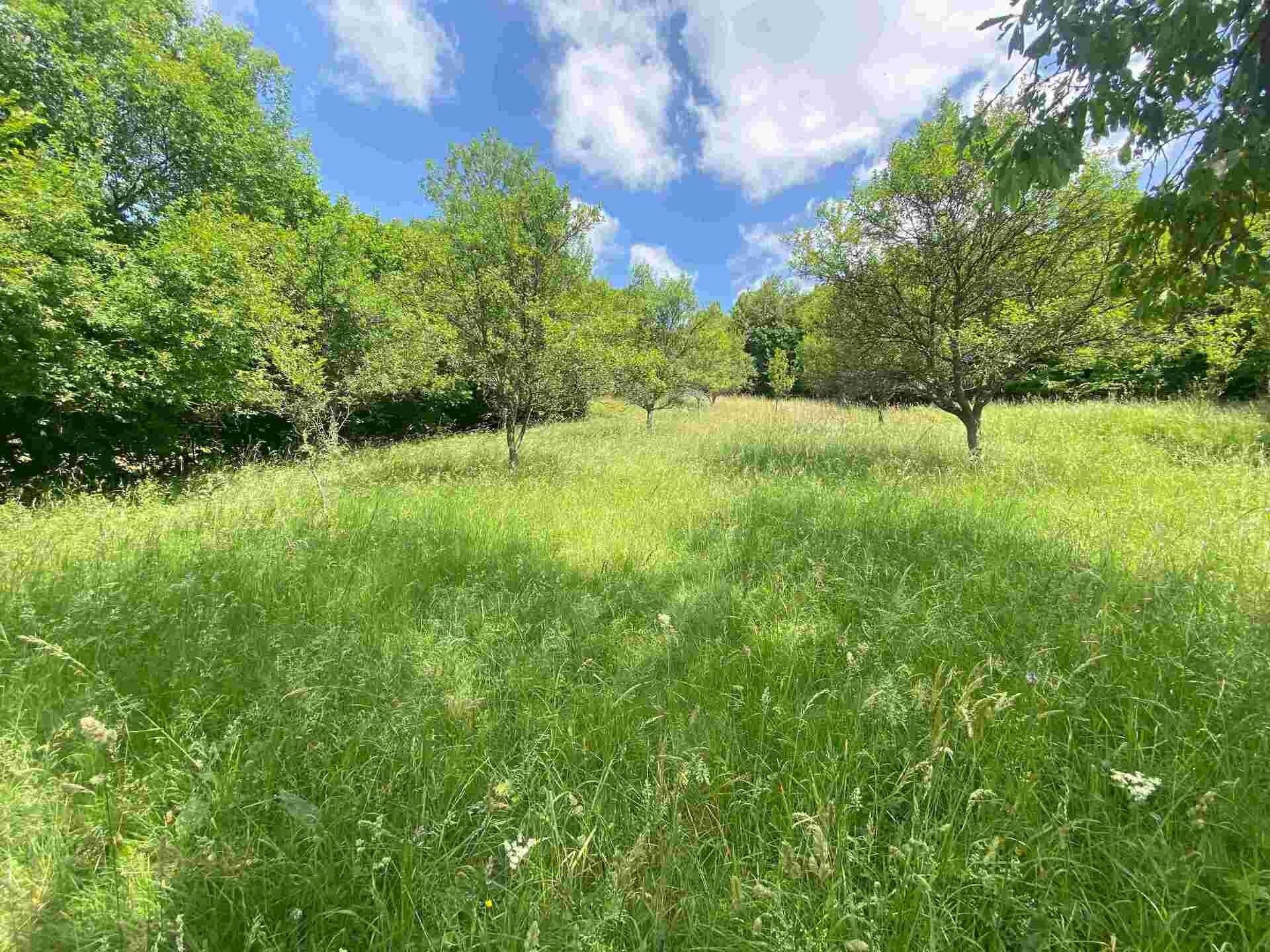 Prodej pozemek pro bydlení - Nedašova Lhota, 2 m²