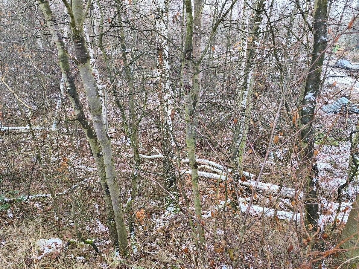 Prodej pozemek pro bydlení - Broumy, 267 42