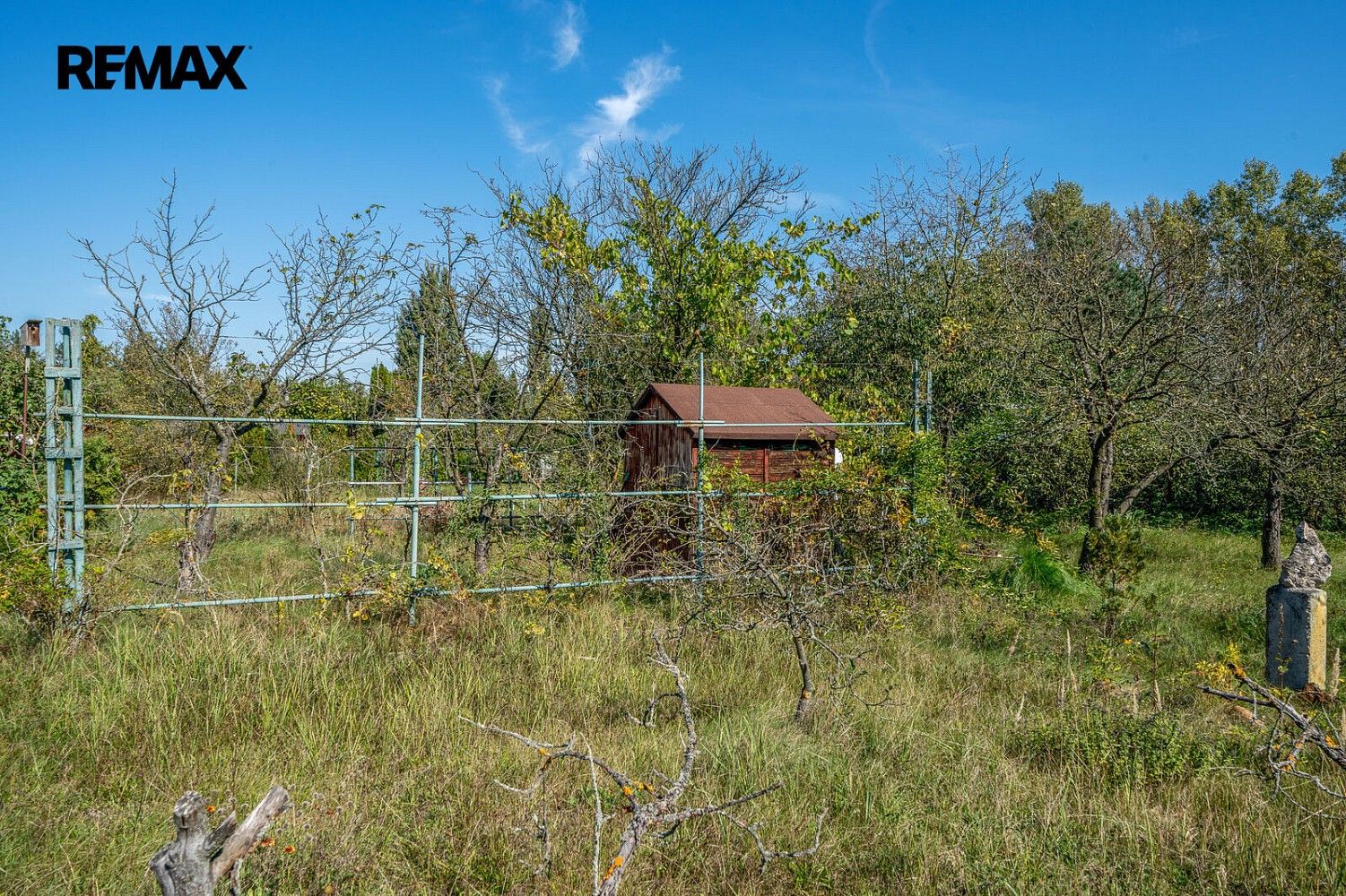 Zahrada · Brandýs nad Labem-Stará Boleslav, okres Praha-východ, Středočeský kraj - 4