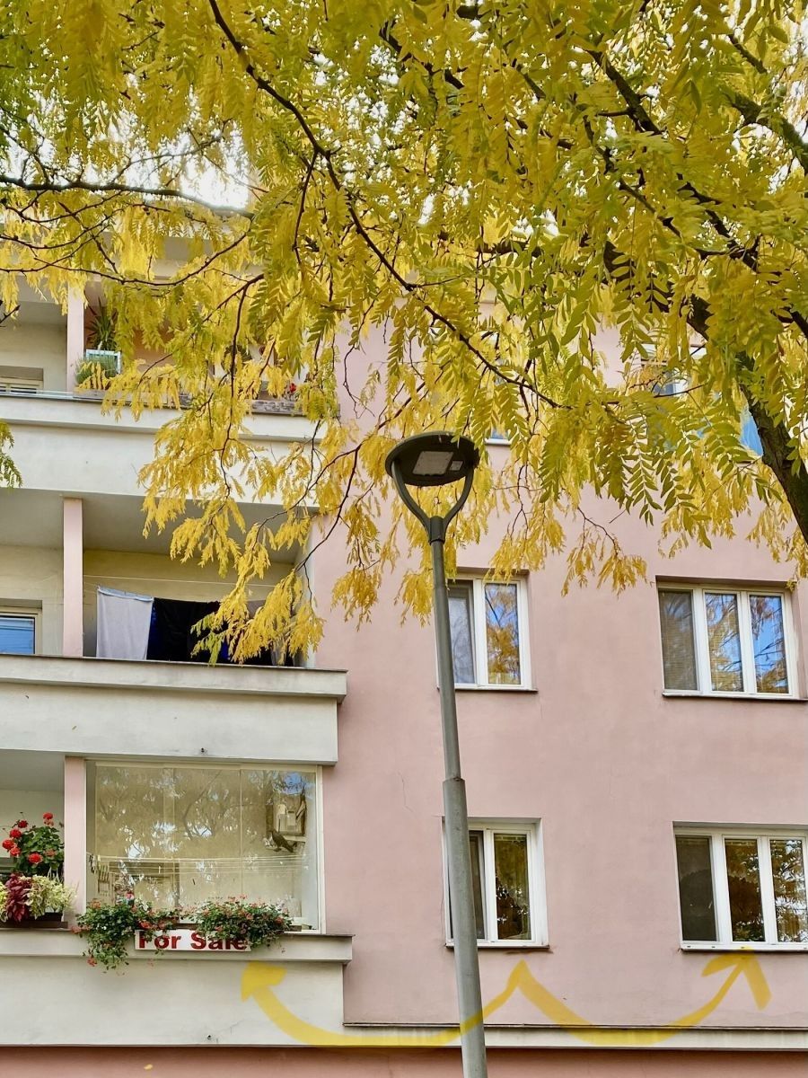 2+1, Kroměříž, 69 m² - 2