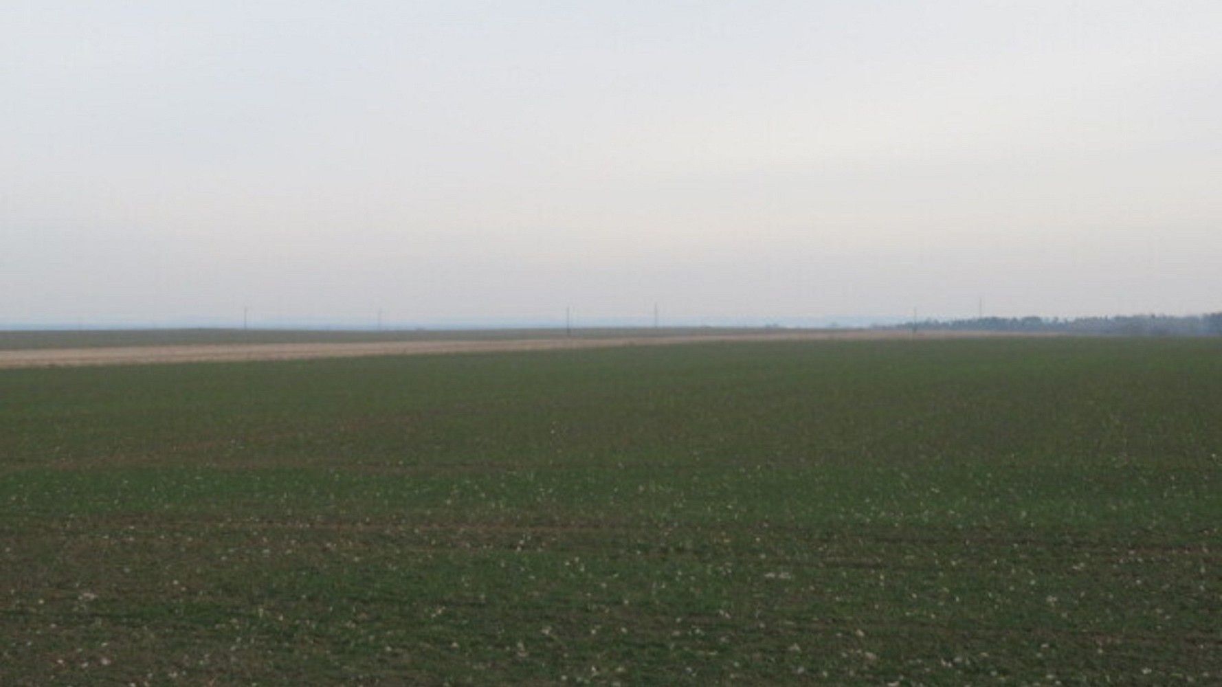 Zemědělský pozemek · Kolín, Středočeský kraj - 2