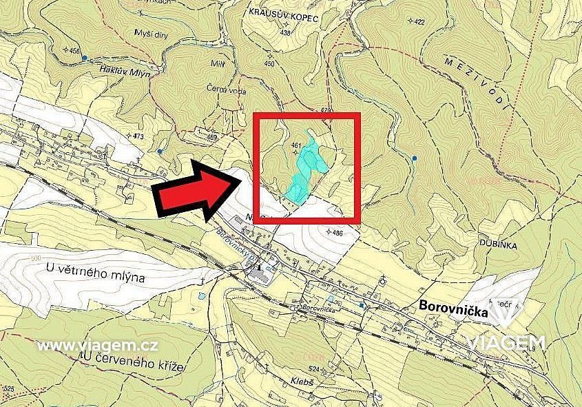 Zemědělský pozemek · Borovnička, okres Trutnov - 3
