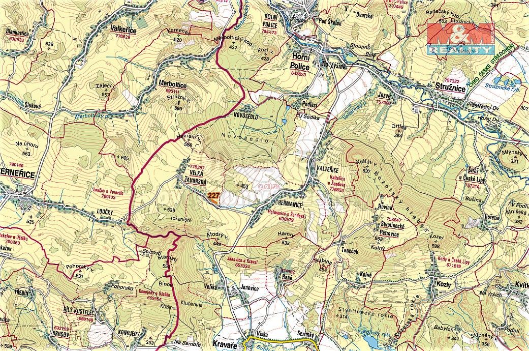 Les · Žandov, okres Česká Lípa, Liberecký kraj - 4