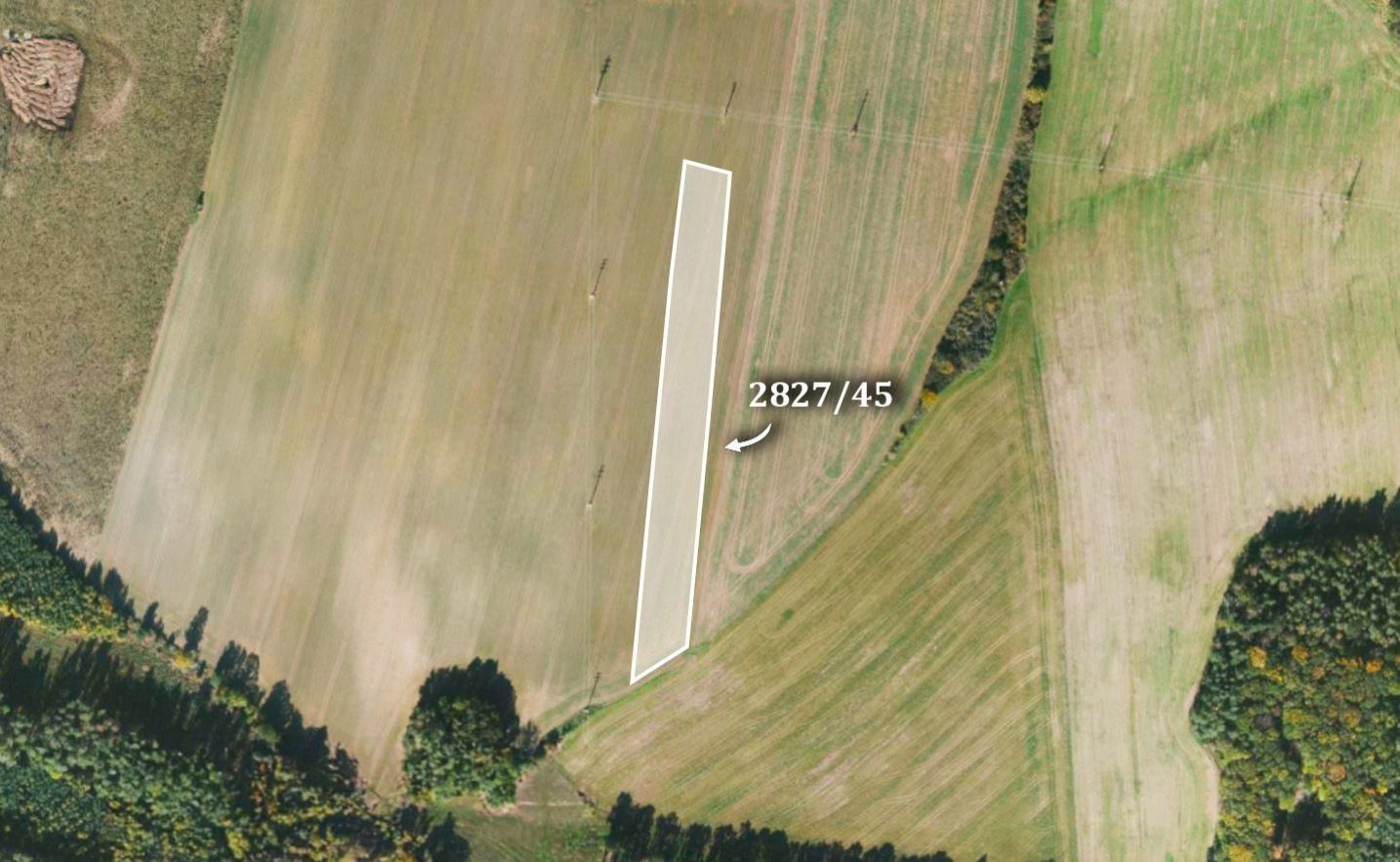 Prodej zemědělský pozemek - Kostelec nad Černými lesy, 5 389 m²