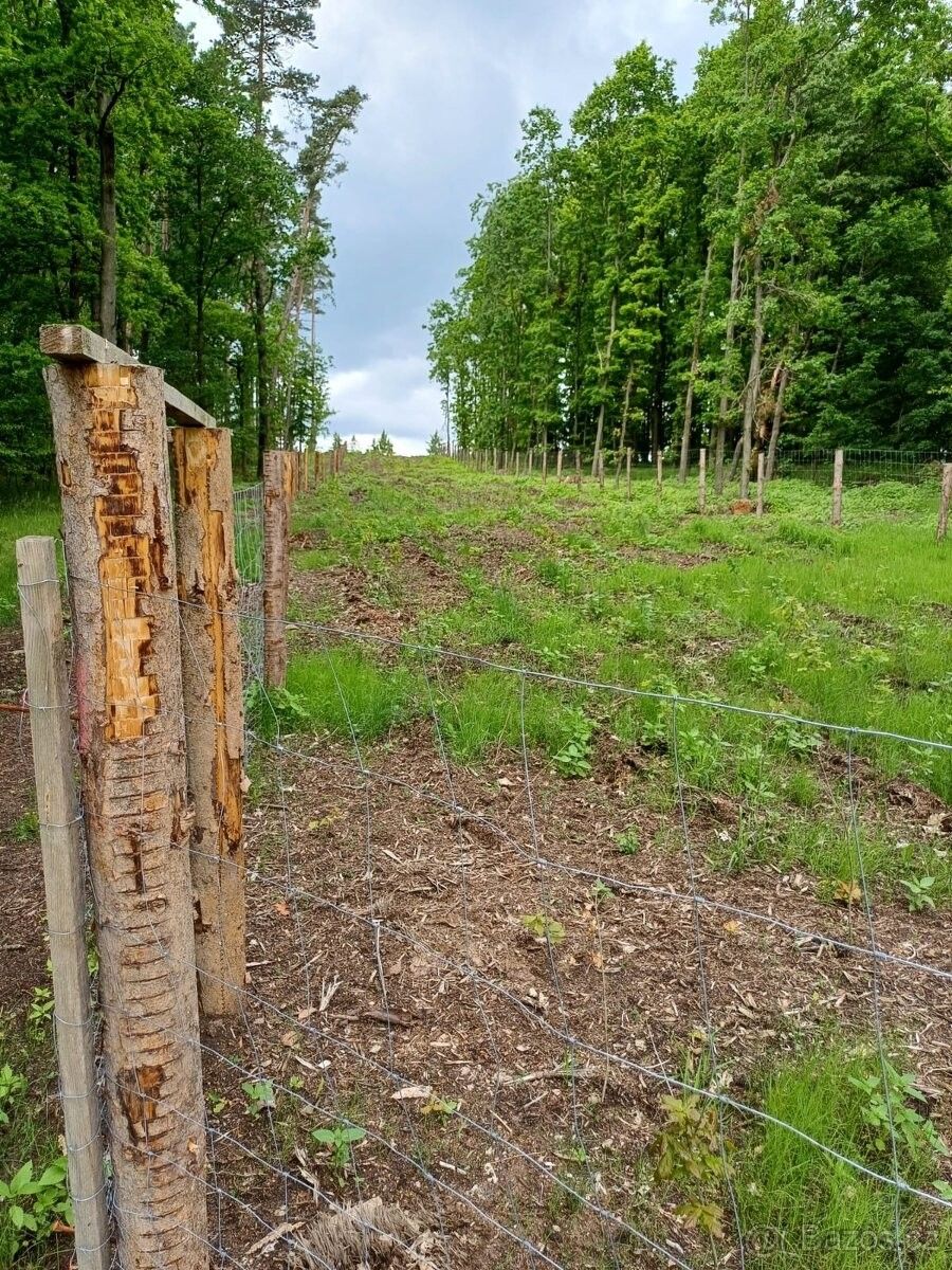 Prodej pozemek pro bydlení - Milevsko, 399 01
